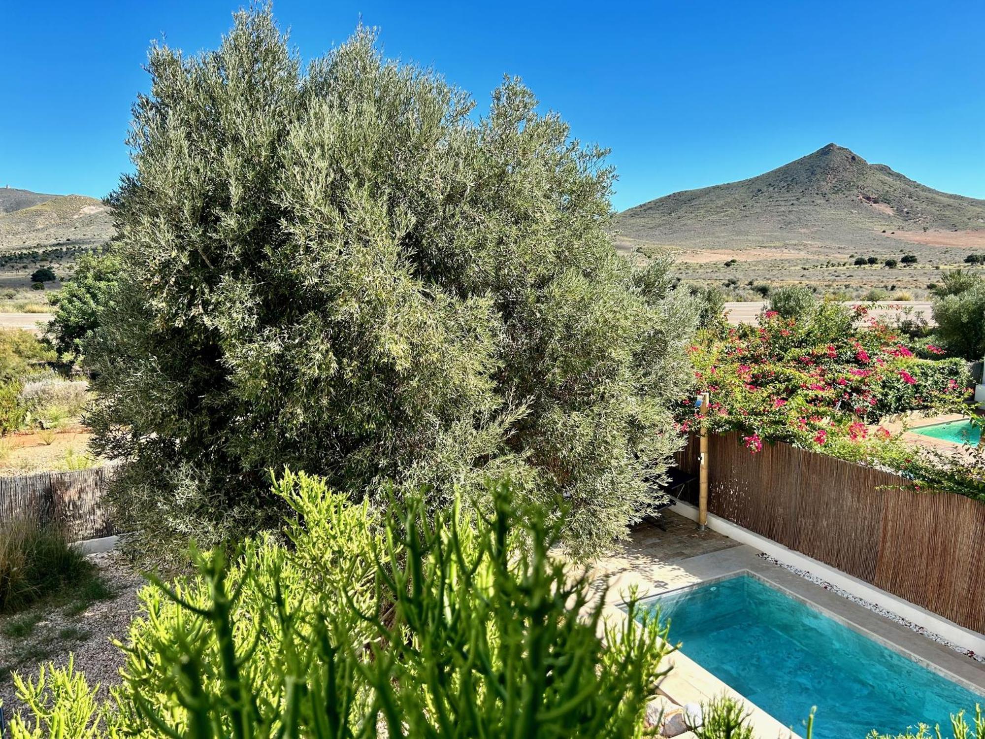 Villa Filon Rodalquilar Dış mekan fotoğraf