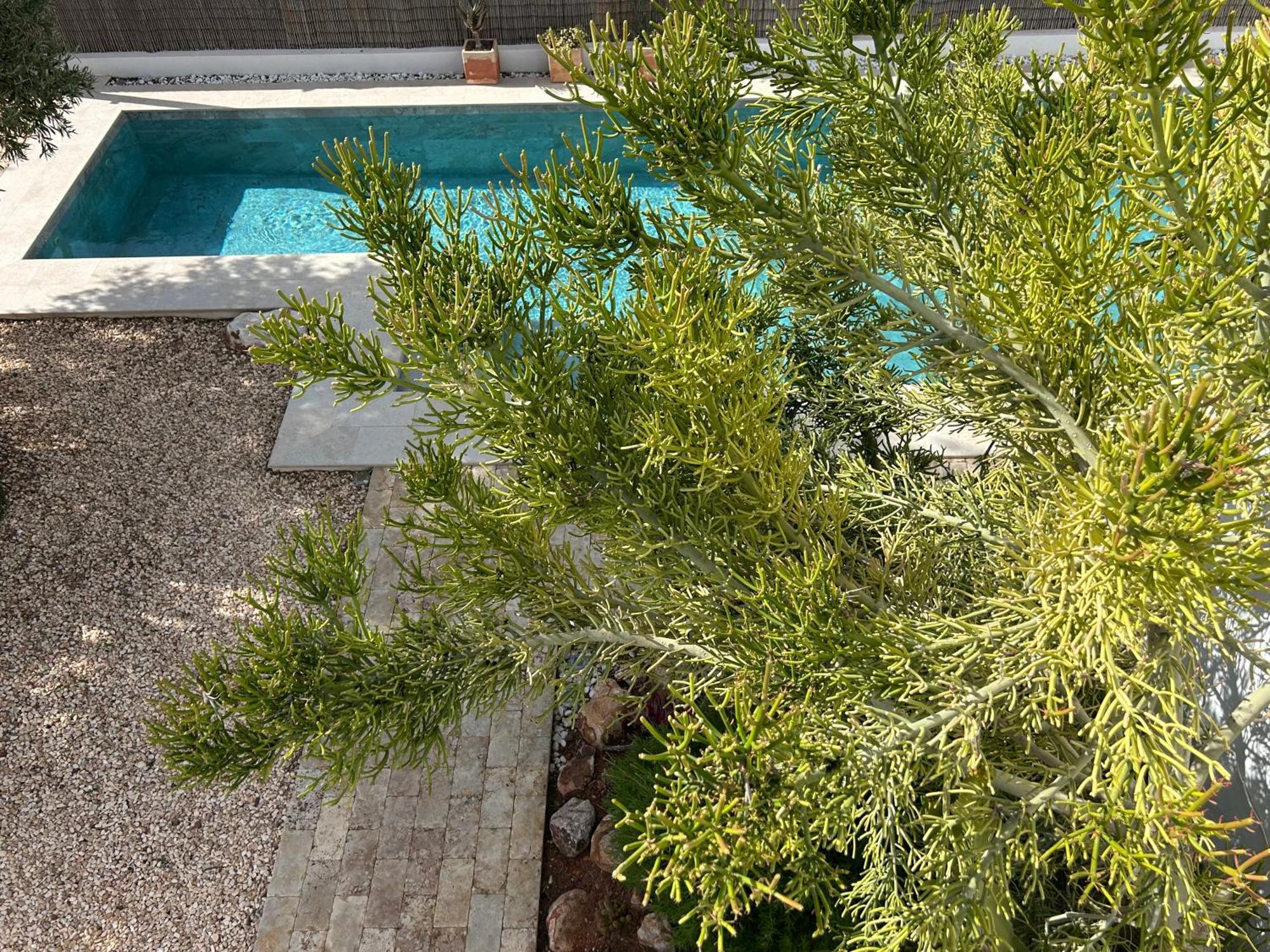 Villa Filon Rodalquilar Dış mekan fotoğraf