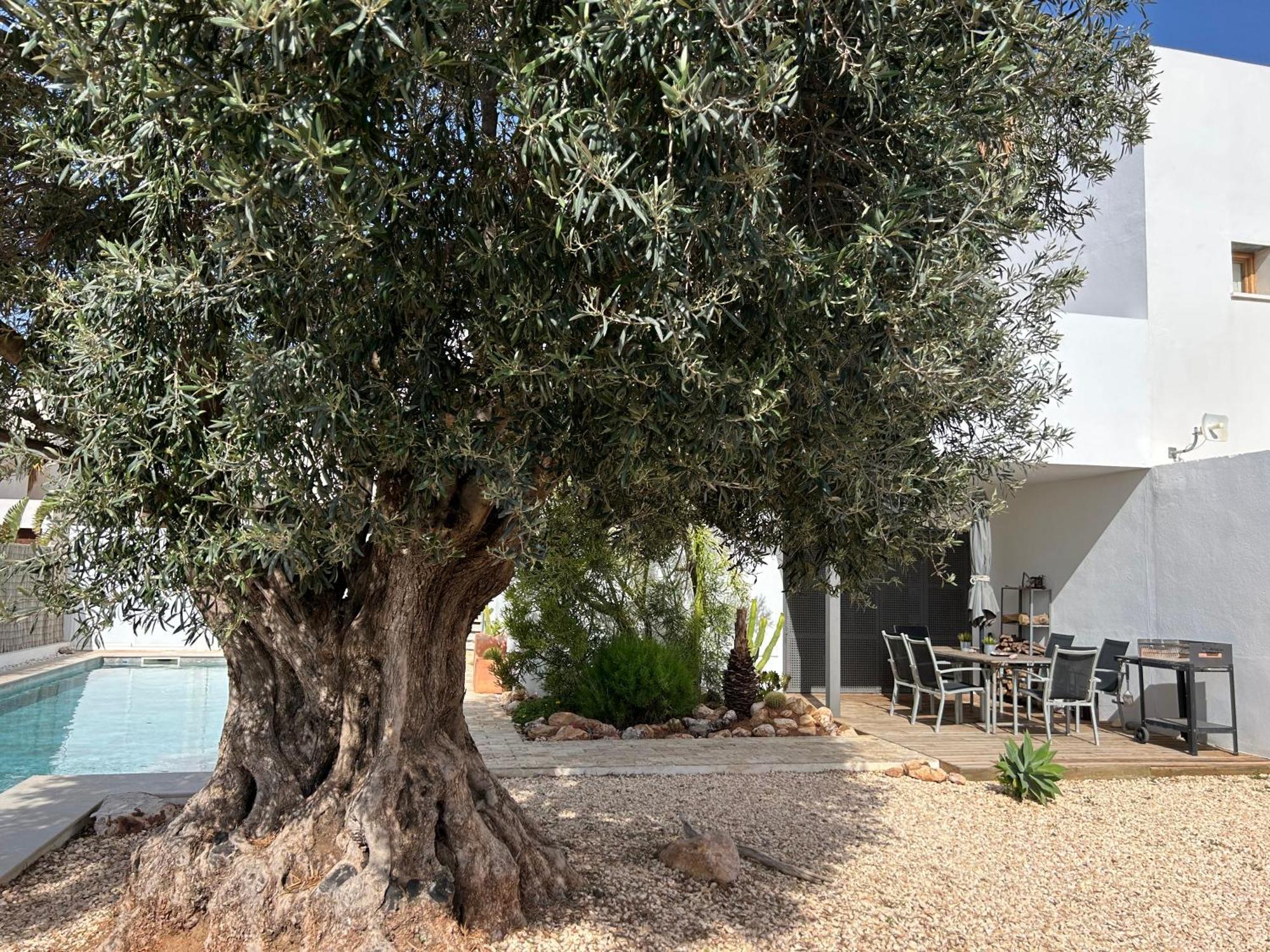 Villa Filon Rodalquilar Dış mekan fotoğraf